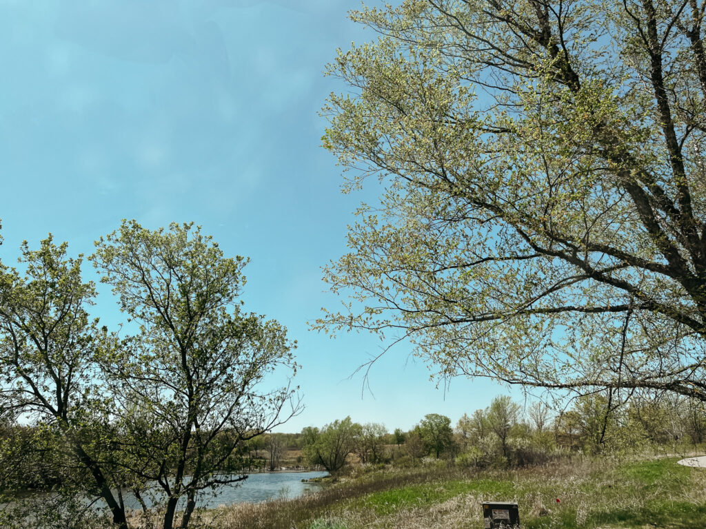 a beautiful view of water at Chester woods park .